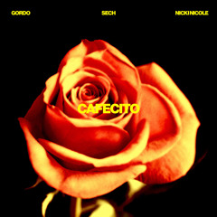 Gordo, Nicki Nicole, Sech - Cafecito