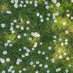 다른 것을 사랑한 맘