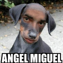Ay Miguel!