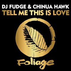 DJ Fudge x Chinua Hawk - Tell Me This Is Love (Vocal Mix)