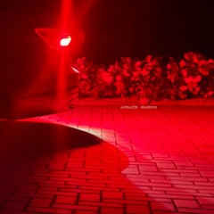 Shadows