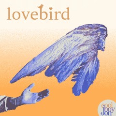 lovebird