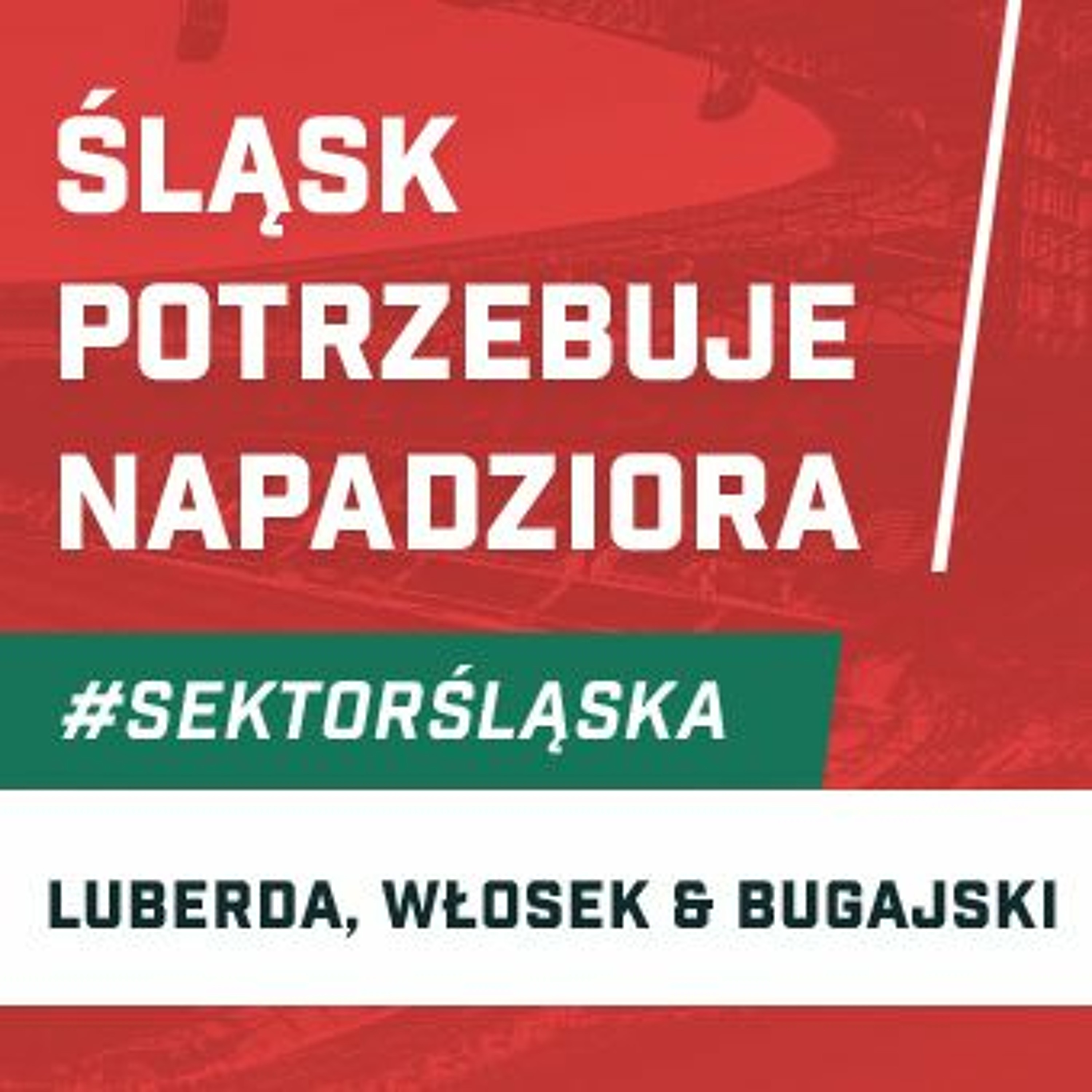 Śląsknet