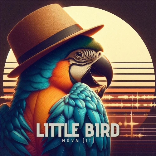 Artwork for the song Annie Lennox - Little Bird (NOVA Edit) by NOVA [IT] by NOVA [IT] on Next Sound