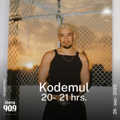 Kodemul