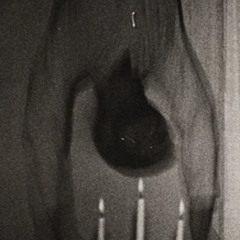 eciohc yzal a sa ti kniht uoy eltit ni melborp ym tup i fi