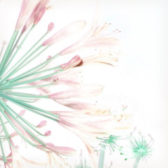 perennial.wav