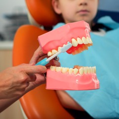 Filling Gaps with Dental Bridges: Tips from Singapore’s Garden Dental
