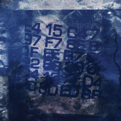 F8 5E BB 63 94 B5 17 BA 74 AC 11 Ee 33 86 B2 7E 93 E0 E4 AA B4 CF 1F 64