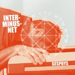 Inter-Minus-Net