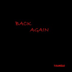 T.Kanizaj - 'Back Again' [Original Mix]