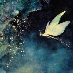 garden's fairy (capsuletrack)