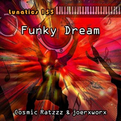 Lunatics 155 / Funky Dream / Cosmic Ratzzz & joerxworx