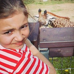 Miniature Tigers - Hot Venom (cover)