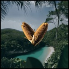 DM Op. 1  | Cedro @ Nômade, Tulum