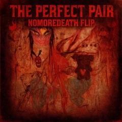 BEABADOOBEE - THE PERFECT PAIR [NOMOREDEATH FLIP]