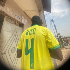 BICO - BENDO