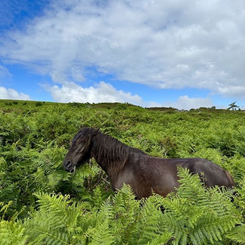 CAN YOU FEEL THE SUN W/ CALL SUPER & PARRIS 270225