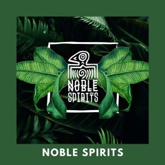 Beach Podcast™ Guest Mix by Noble Spirits