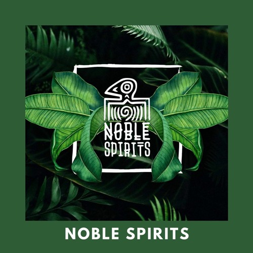 Beach Podcast™ Guest Mix by Noble Spirits