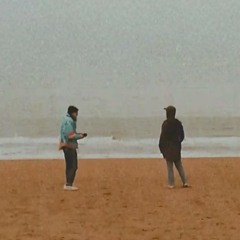 SEAGULL JOINTS (OUTTAKES)
