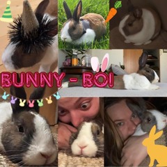 Bunny-Boi - Cover of Summer Boy by Michael Marco.dk