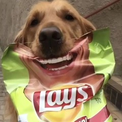 w3xtt - 12.10.24 (prod by junoes)