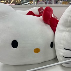 사지마비