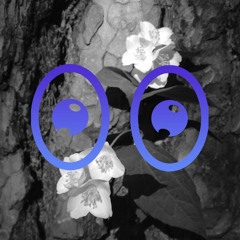 Cara Tolmie (4/7/20)