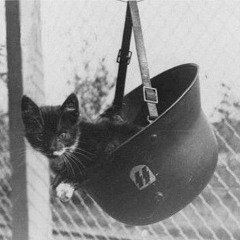 АВАНГАРД: Юліус Евола - Звільнення