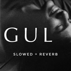 Gul Anuv Jain Slowed + Reverb