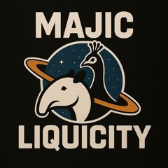 Liquicity-festival-2025-Dj-contest-MaJic