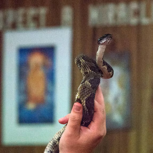 the snake handler...