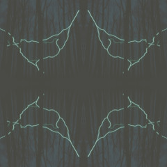 Wired Wave Echo #611