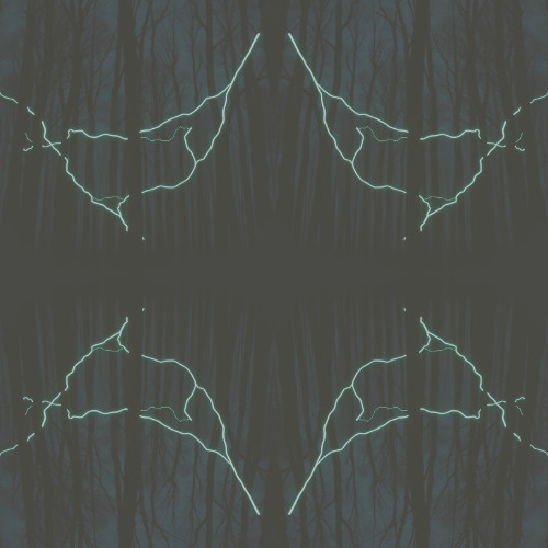 Wired Wave Echo #611