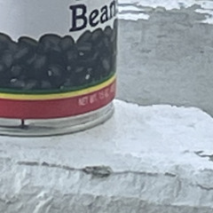 Bean soup and snow
