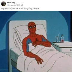 Nhện bị lọt Tuki 2025