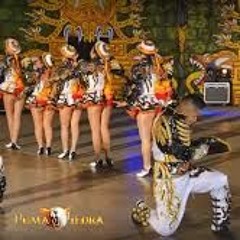 La Nueva Fuerza 2019 Mayores