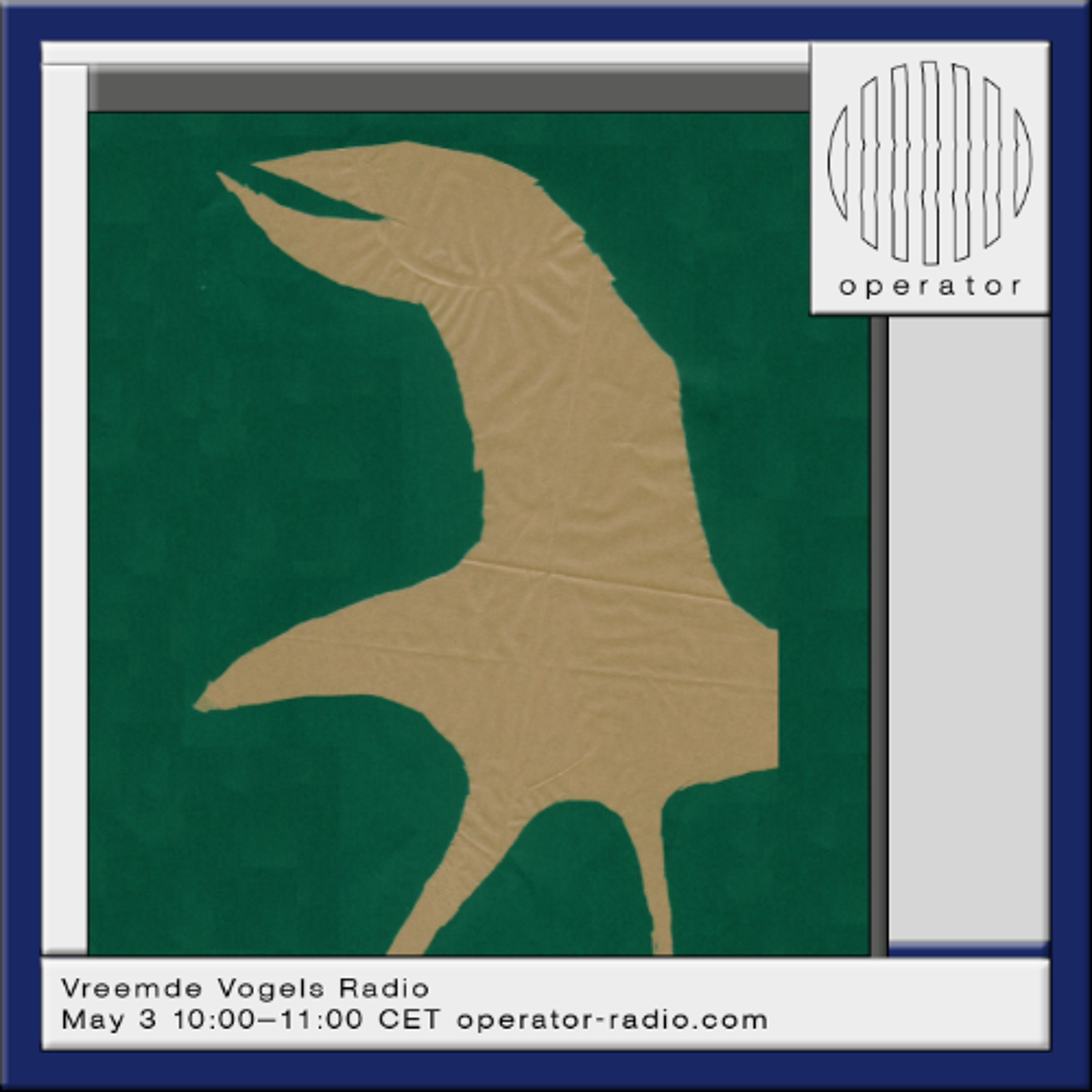 Vreemde Vogels Radio - 3rd May 2026 episode artwork