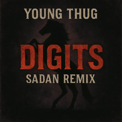 Young Thug - Digits (Sadan Remix)