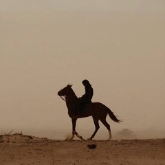 «لملم العيشَ الشتات.. وامضِ في درب الثبات» مشاركة أحد طلاب البناء (أحمد يحيى)- شمال غزة
