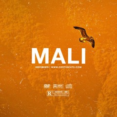 [FREE] Wizkid ft Rema & Omah Lay Type Beat "Mali" | Afrobeat Instrumental 2023