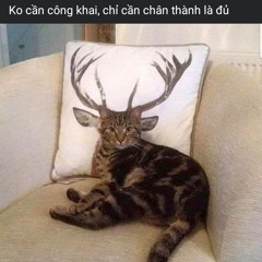 Em Ơi Hà Nội Phố, Phút Cuối... Tuyển Tập Những Ca Khúc hay nhất Làm Nên Tên Tuổi Bằng Kiều_Audio_128