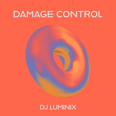 DAMAGE CONTROL - DJ LUMINIX