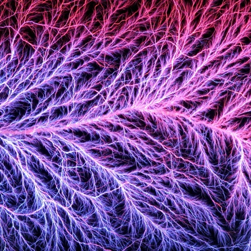 Fractals