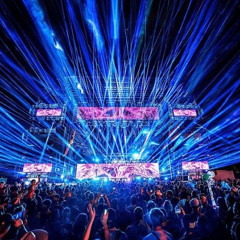 WUB WUB WUB WUB WUB WUB