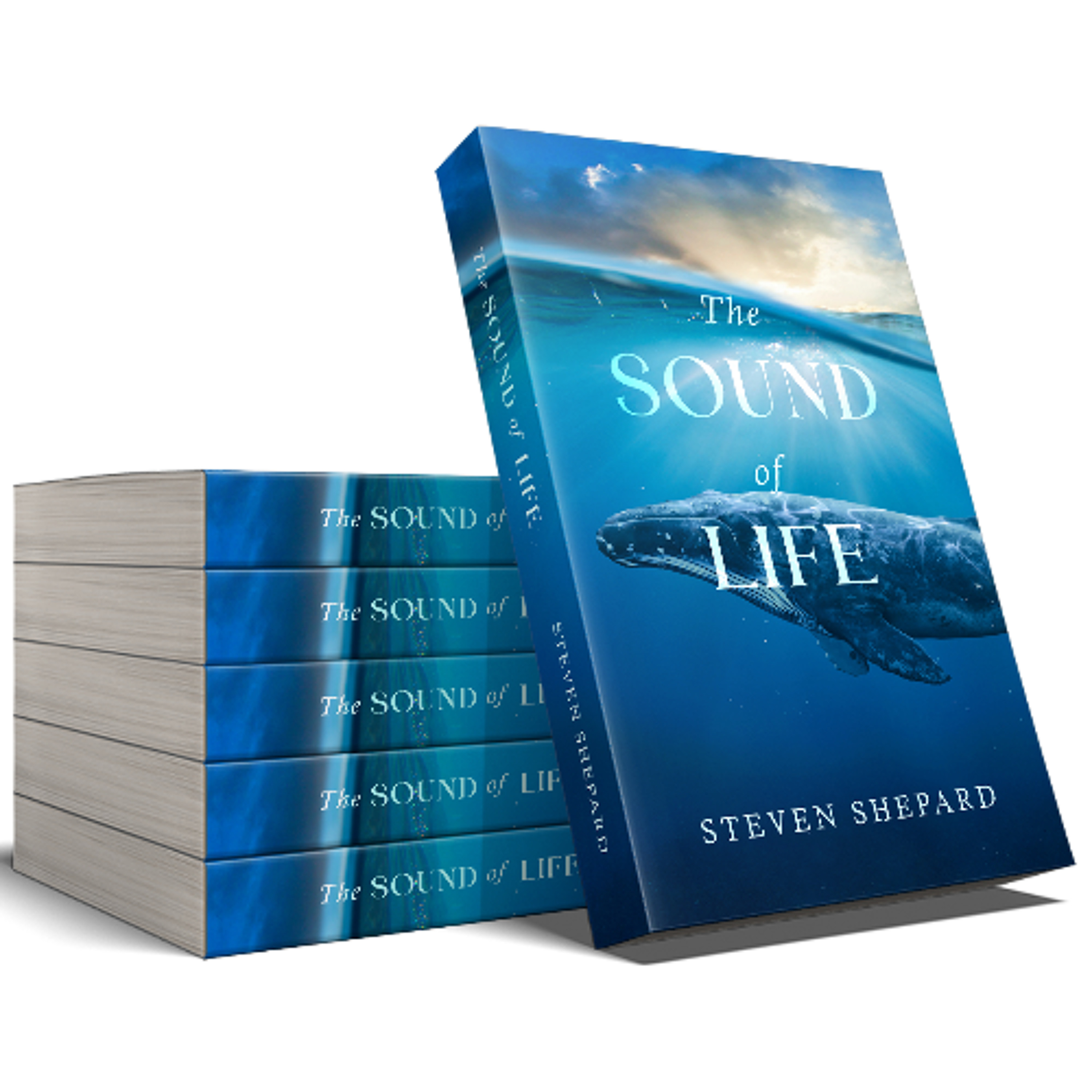 The Natural Curiosity Project