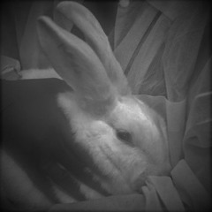 White Coat Killers (SAE 440) dub