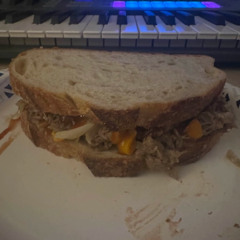 toastdot sandwich anthem