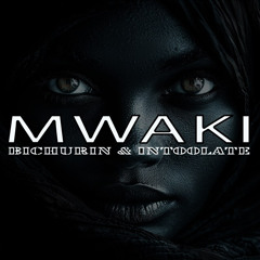 Bichurin & Intoolate - Mwaki